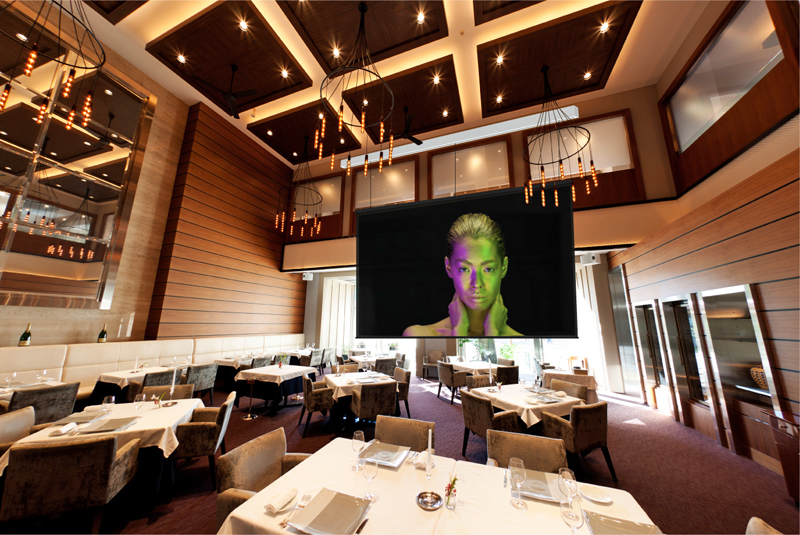 Screen Innovations Zero G Pro CarbonBlack